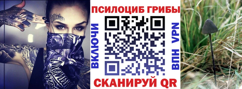 Псилоцибиновые грибы мицелий  наркотики  блэк спрут зеркало  дарк нет Telegram  Тюкалинск 